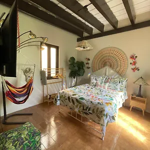  Apartment The Garden Apartment, The Willow Apartment, & The Tropical At Casa Of Essence In Old Puerto Rico